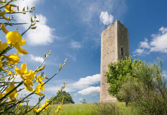 Torre di Bascio Valmarecchia